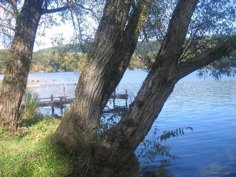 Red Carpet Inn On The Lake - Oneonta Bagian luar foto